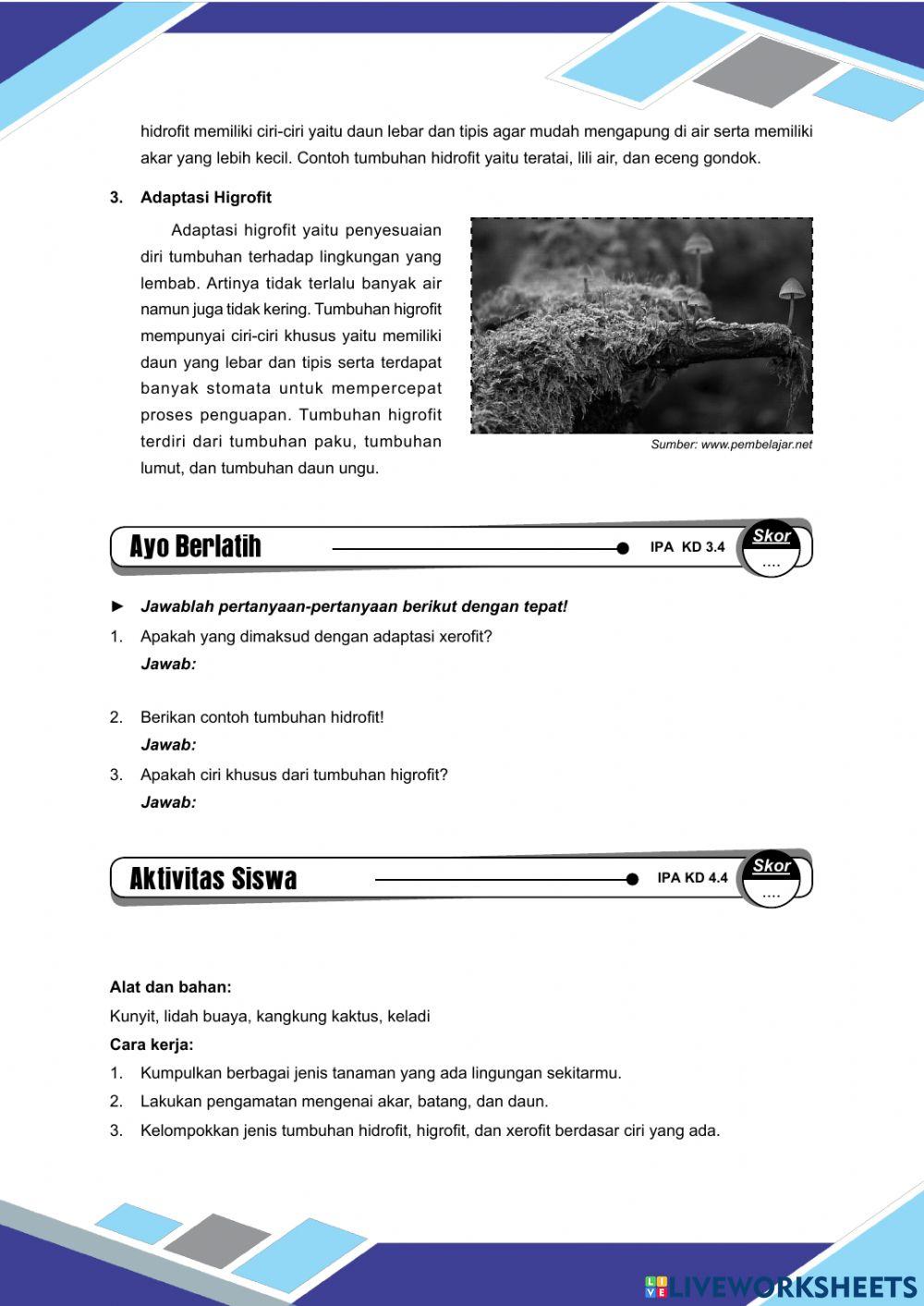 Tema 2 sub tema 1 pb 3