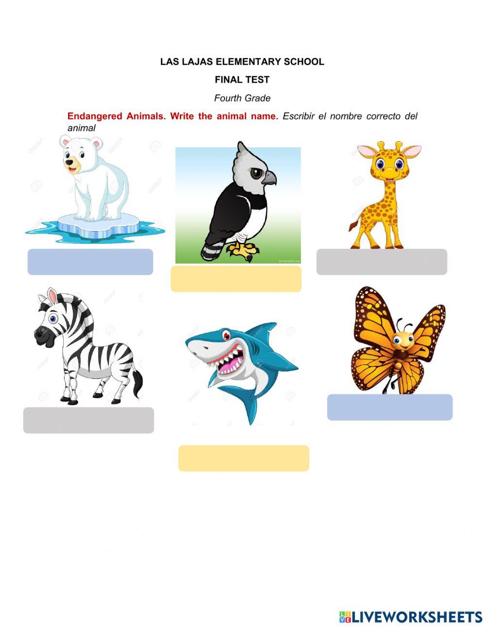 Fourth Grade Final Test