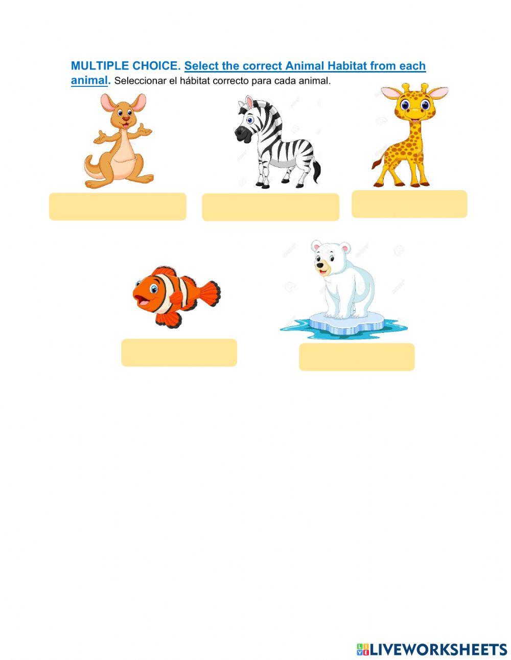 Fourth Grade Final Test