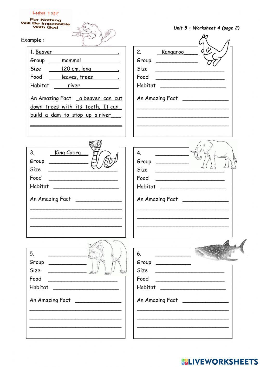 Amazing Fact of Animals