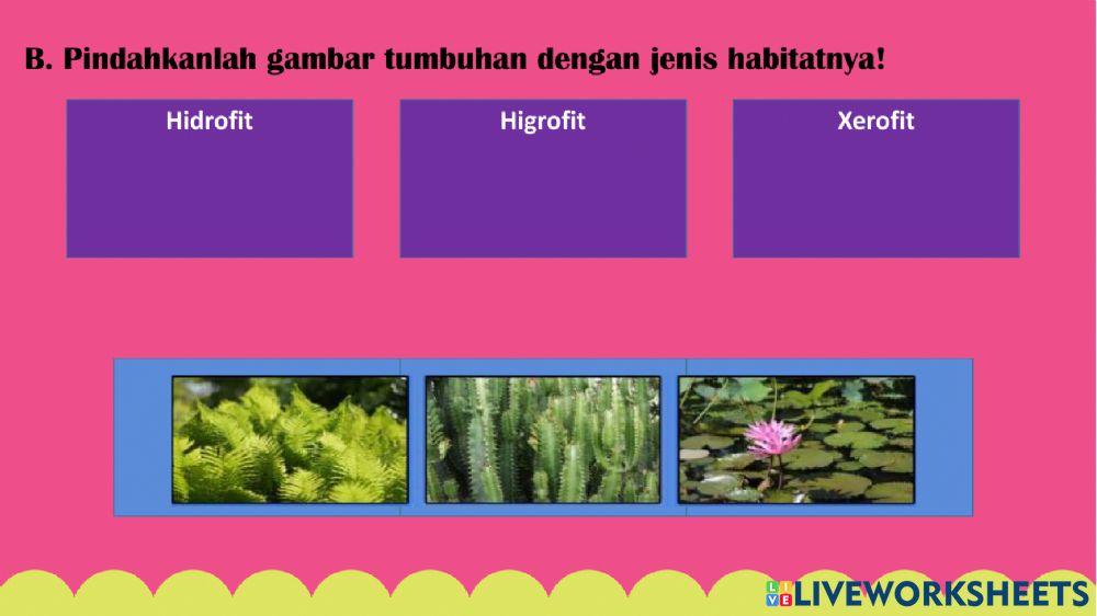 Adaptasi makhluk hidup