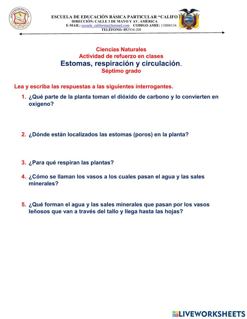 Estomas, respiración y circulación.