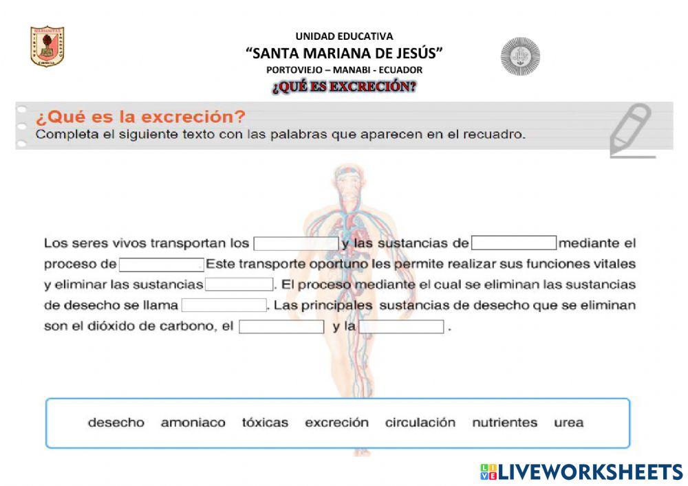 ¿Qué es la Excreción?