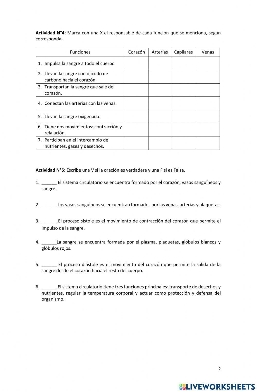Sistema circulatorio