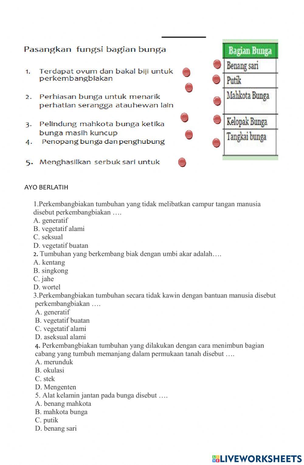 Perkembangbiakan vegetatif pada tumbuhan