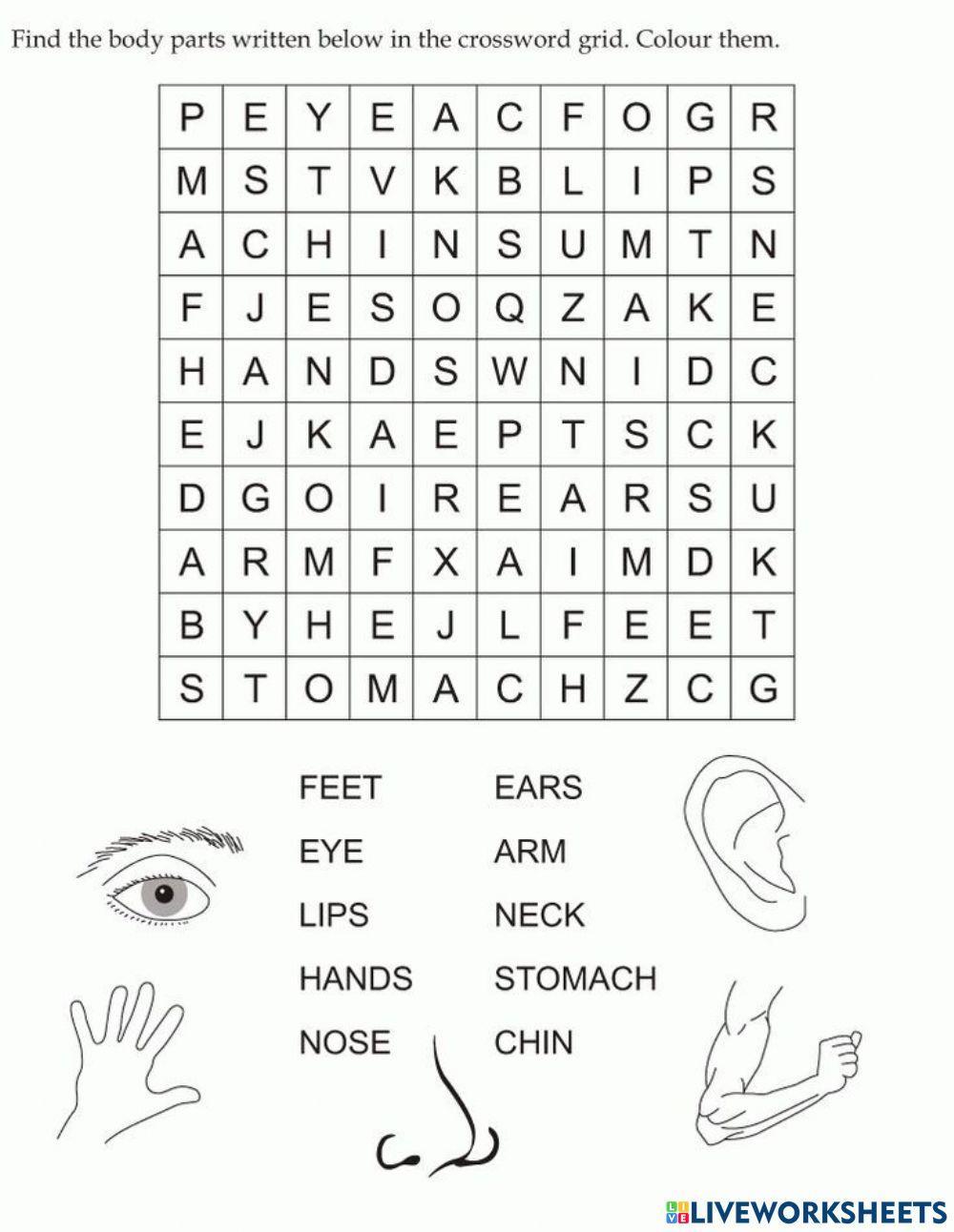 Vocabularies in english