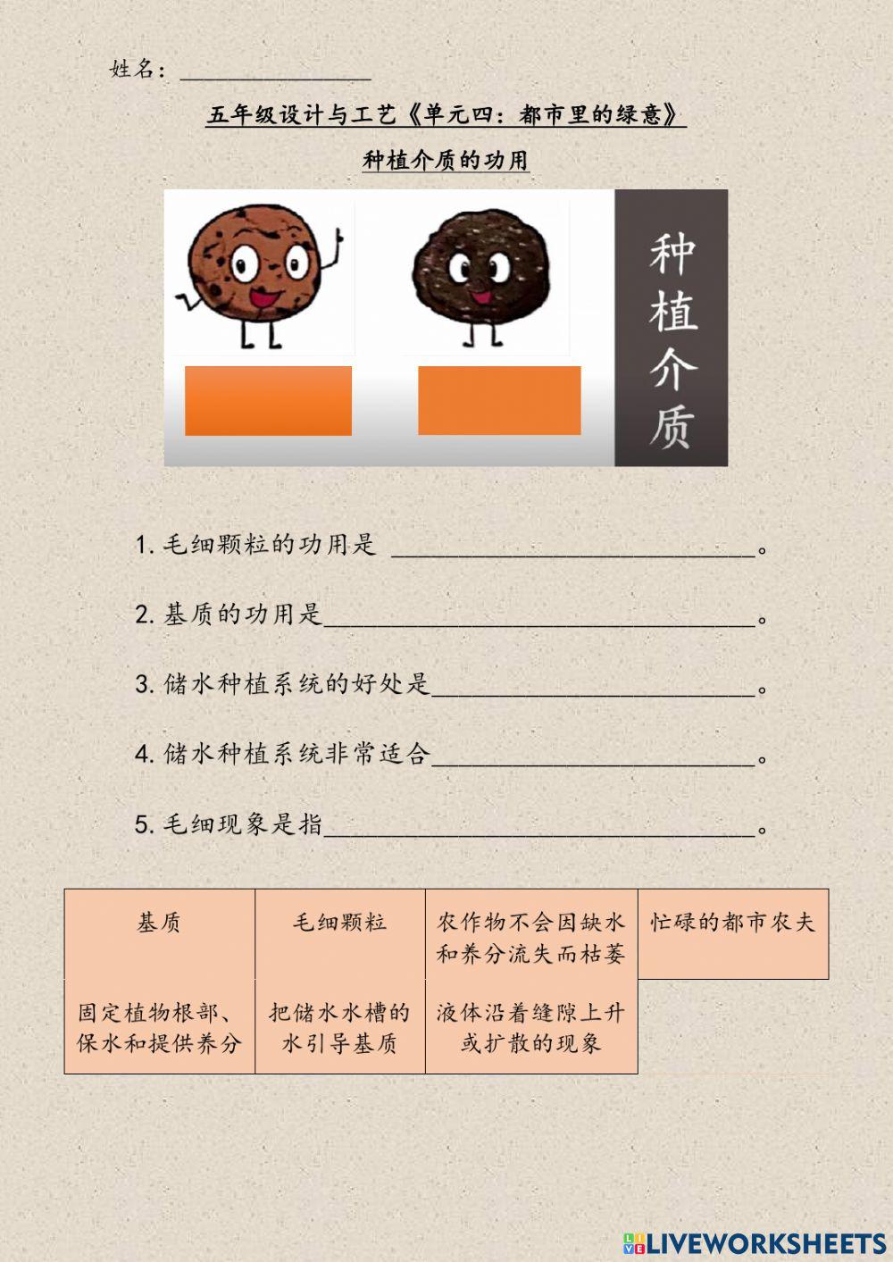 五年级设计与工艺《单元四：都市里的绿意》