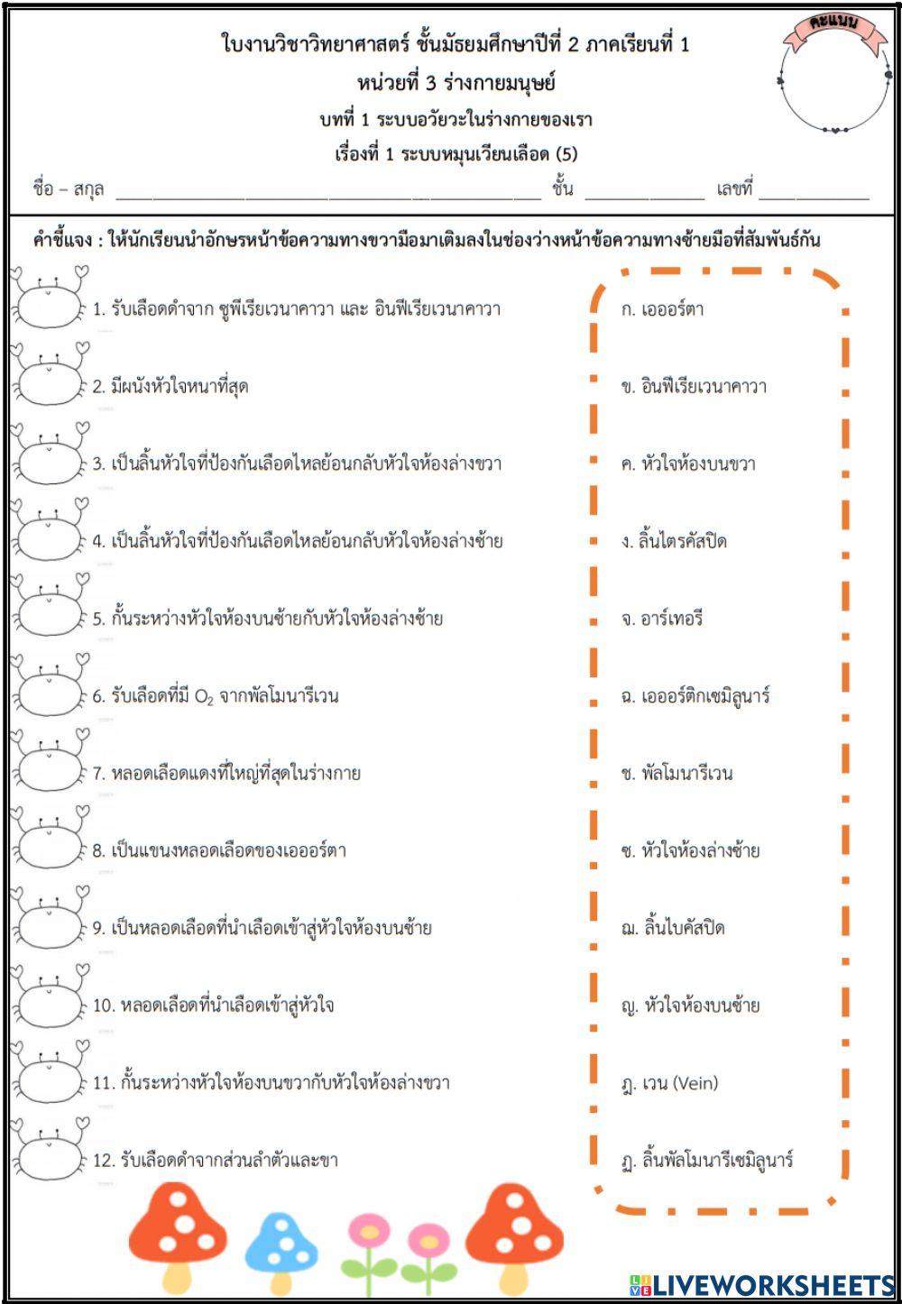 ระบบหมุนเวียนเลือด3