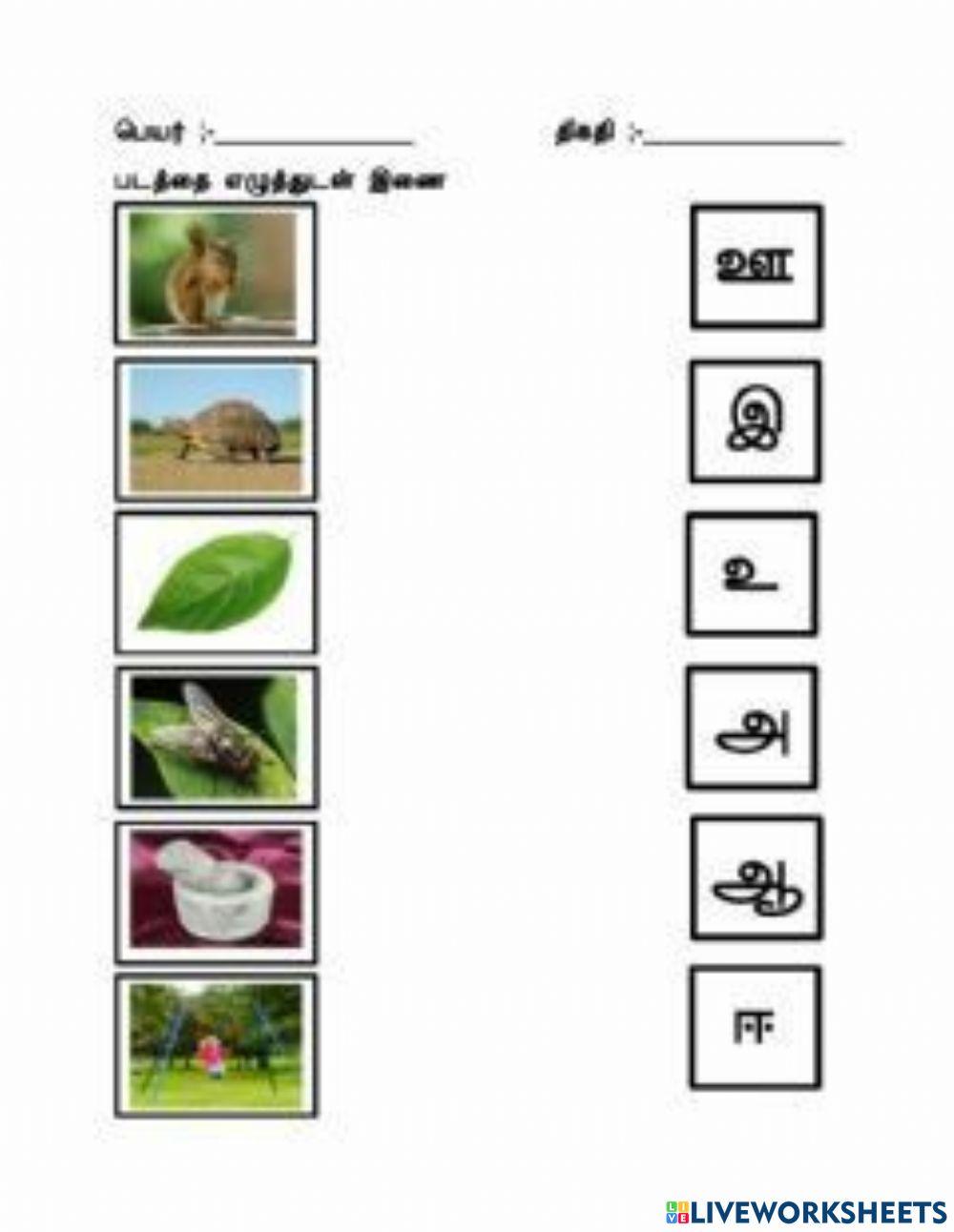 உயிர் எழுத்துகள்