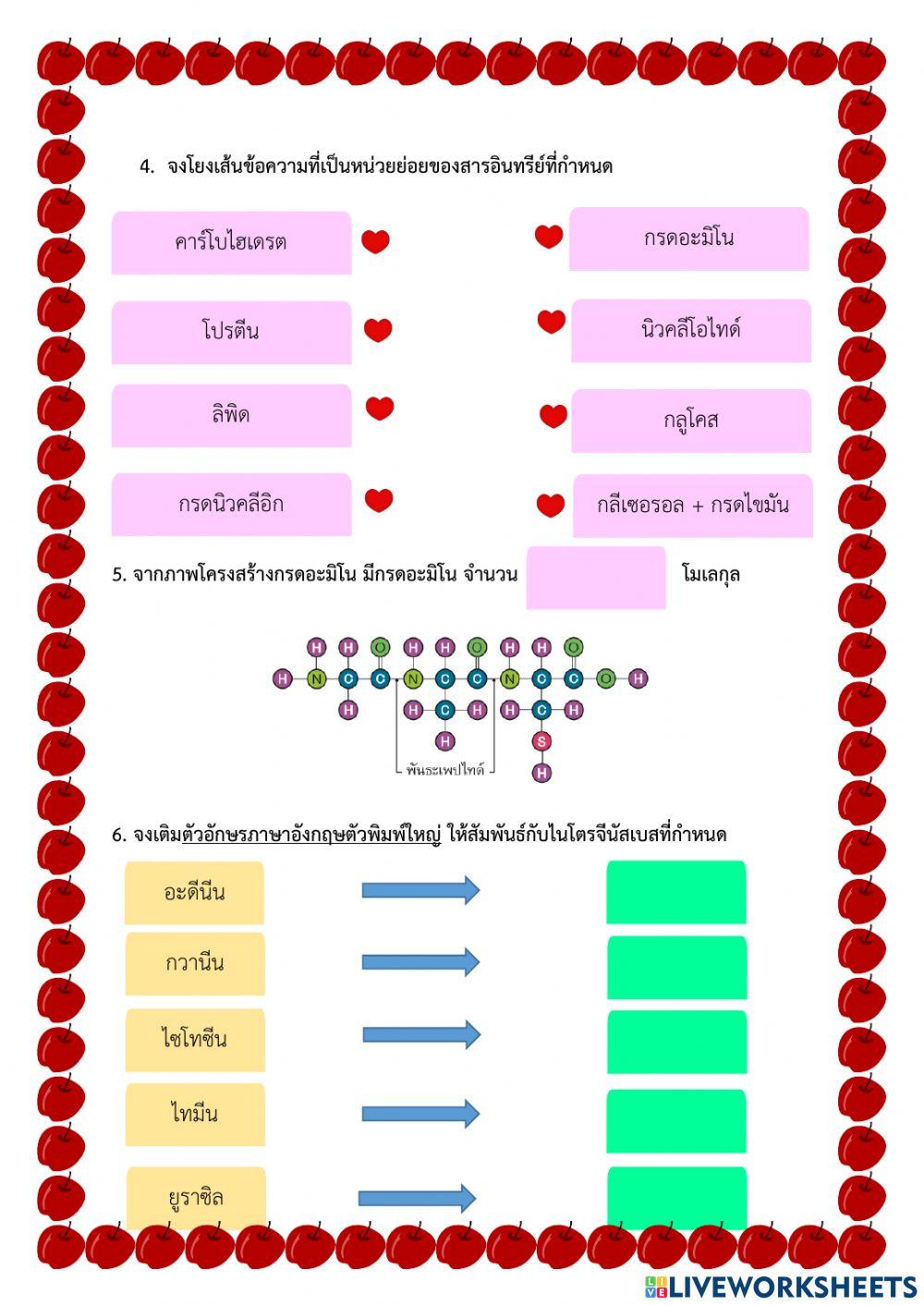 ใบงานเคมีเป็นพื้นฐานของสิ่งมีชีวิต