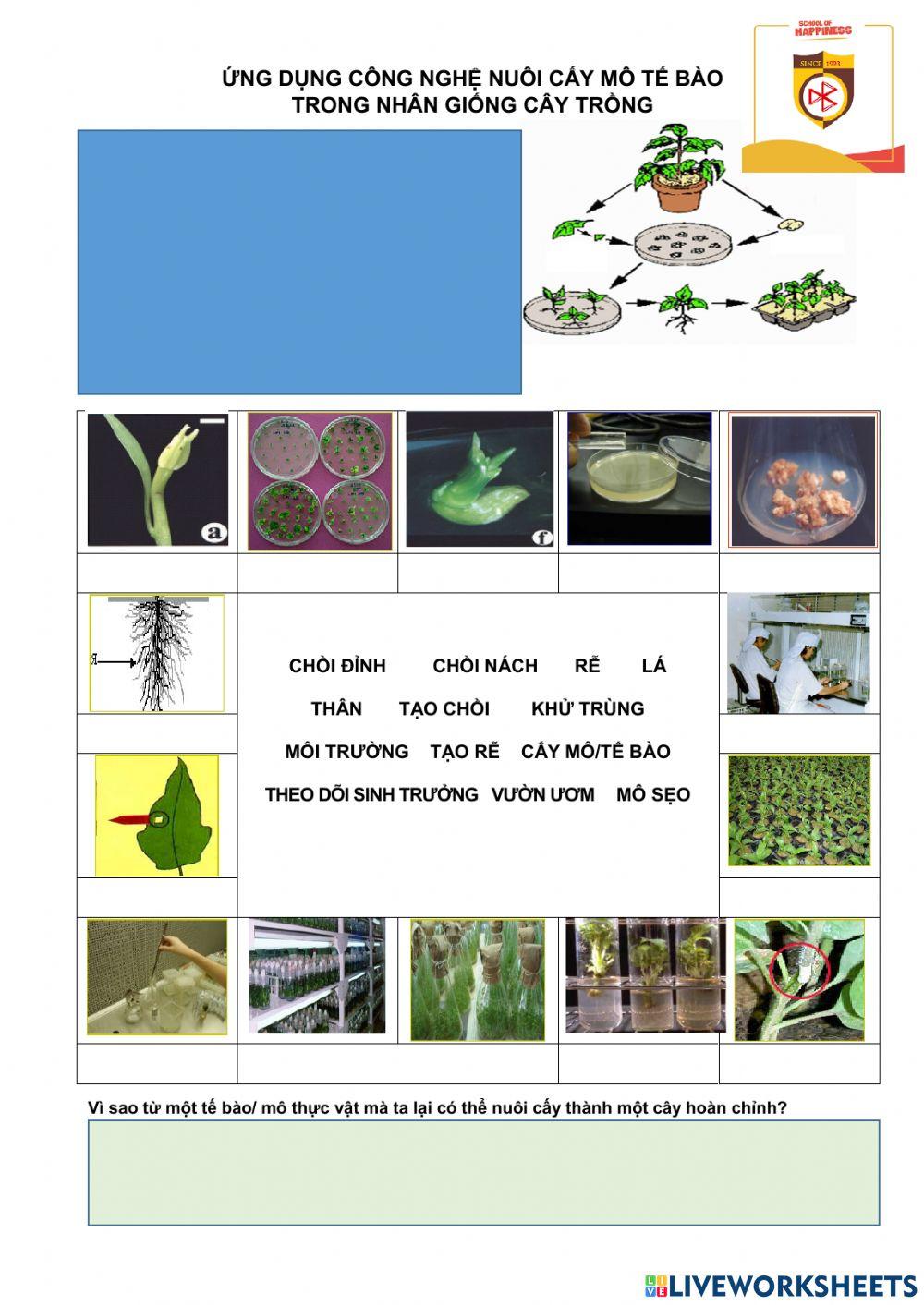 Bài 3. công nghệ 10. nuôi cấy mô tế bào