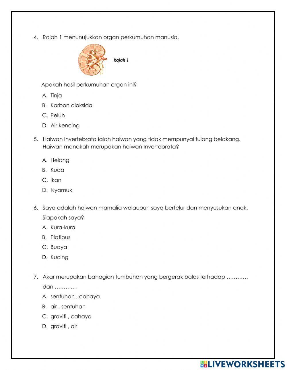 Ujian Pertengahan Tahun Sains Tahun 4