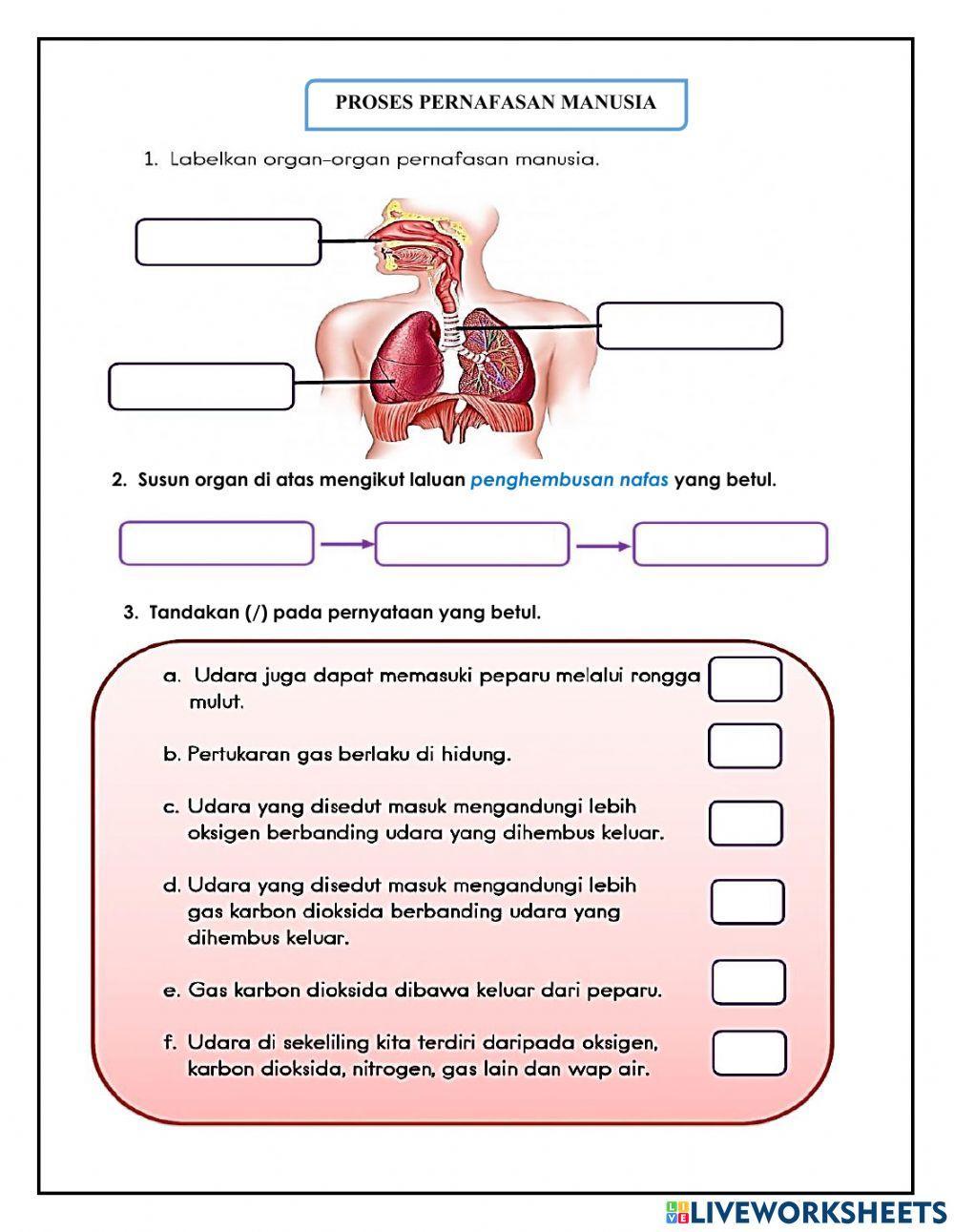 Ujian Pertengahan Tahun Sains Tahun 4