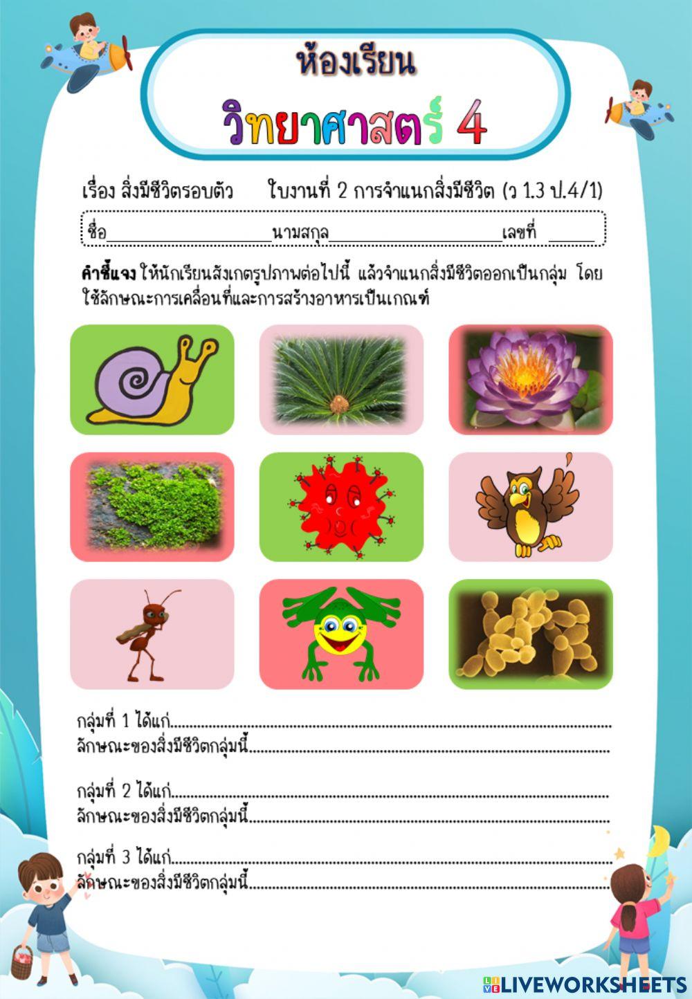 ใบงานที่ 2 ป.4 การจำแนกสิ่งมีชีวิต(ว1.3 ป4-1)