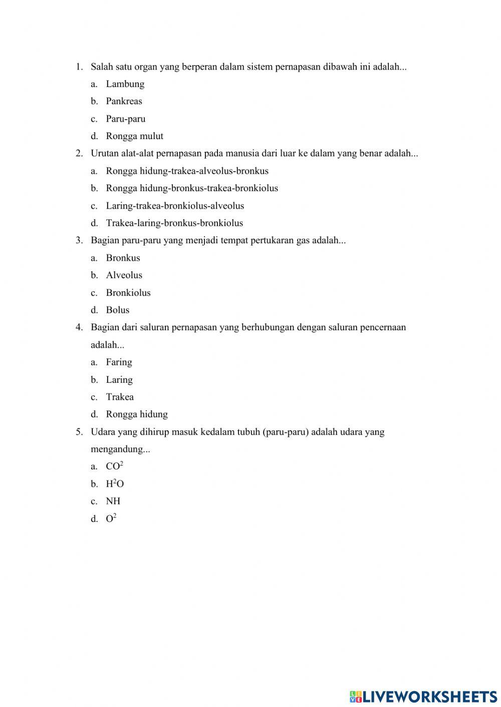 Sistem Pernapasan (1)