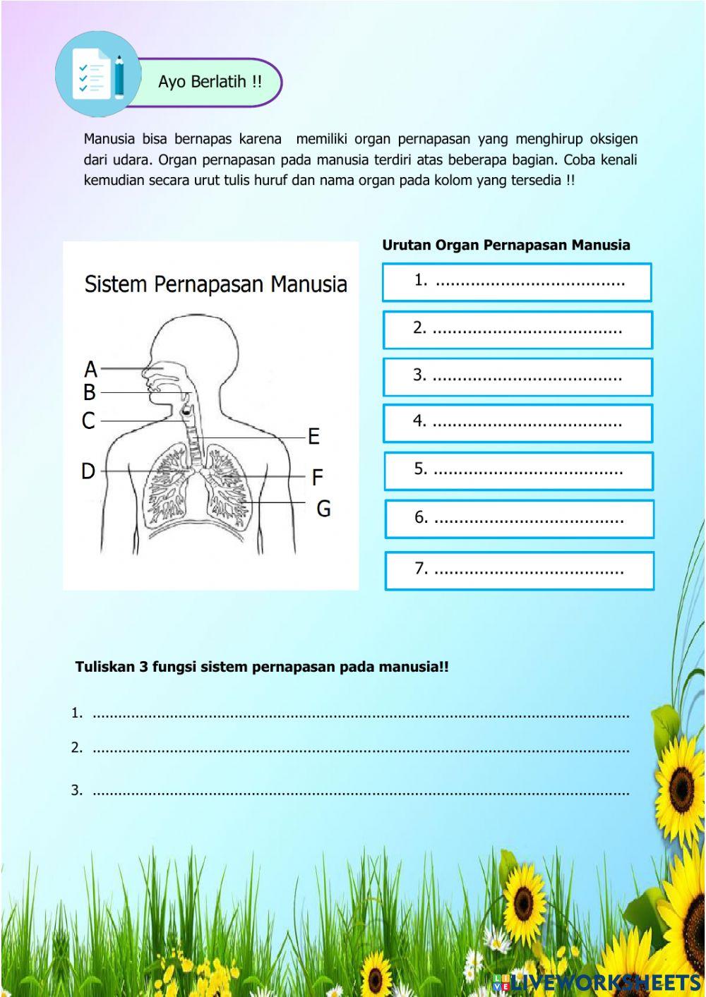 LKPD IPA: Fungsi dan bagian organ pernapasan