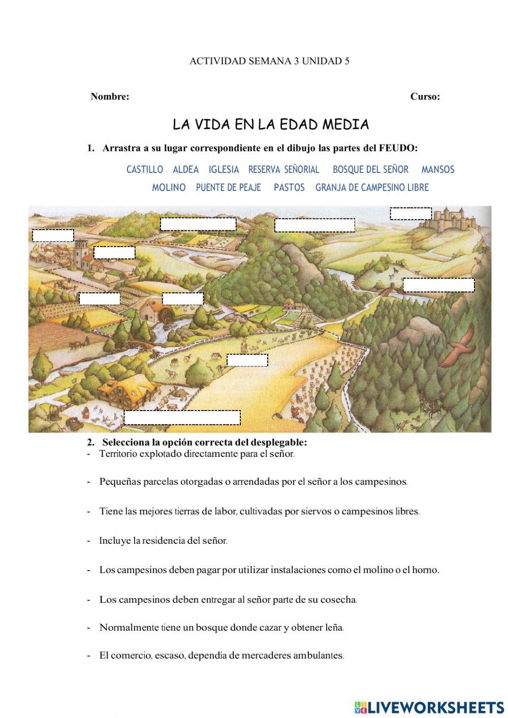 Actividad semana 3  unidad 5