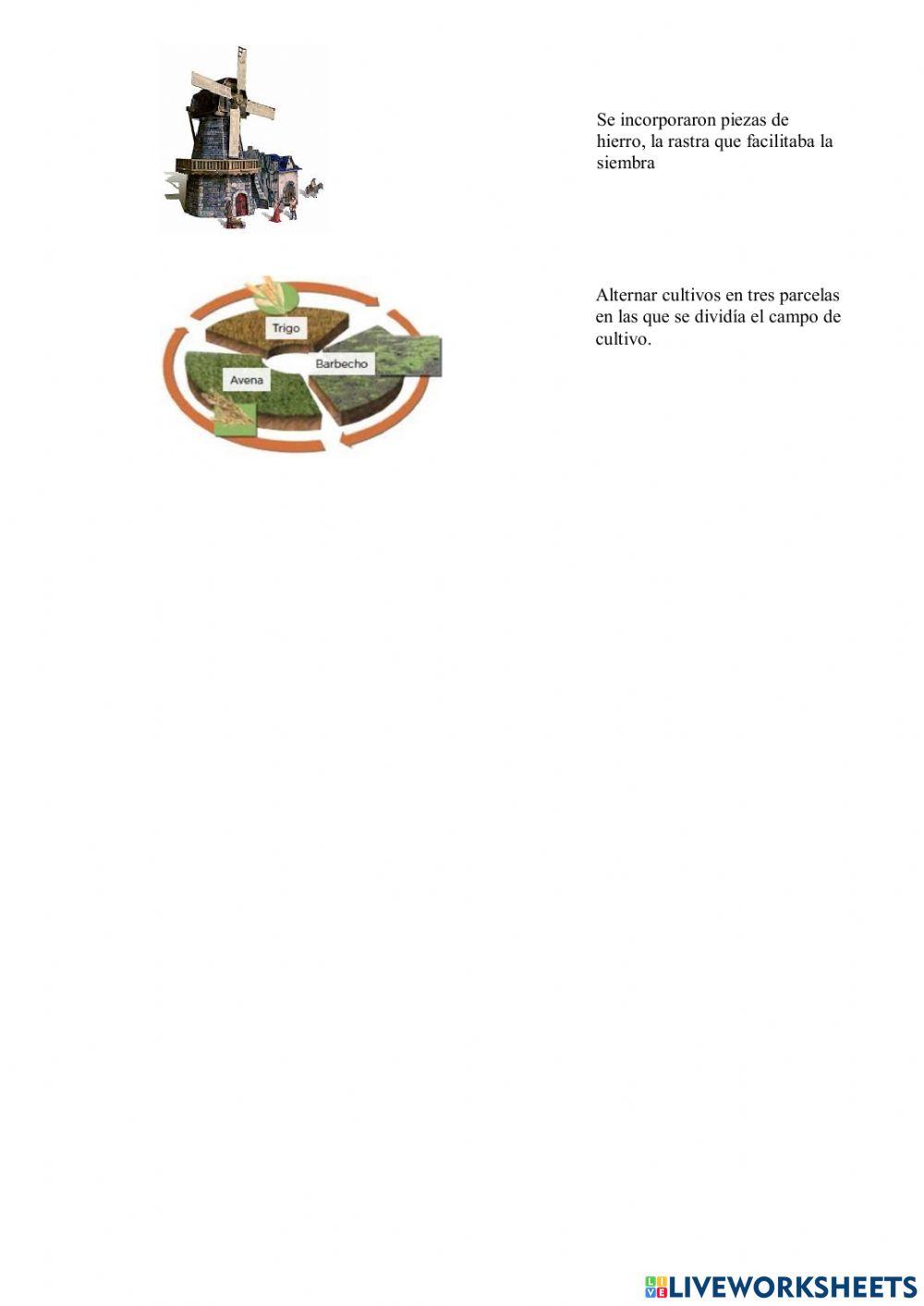 Actividad semana 3  unidad 5