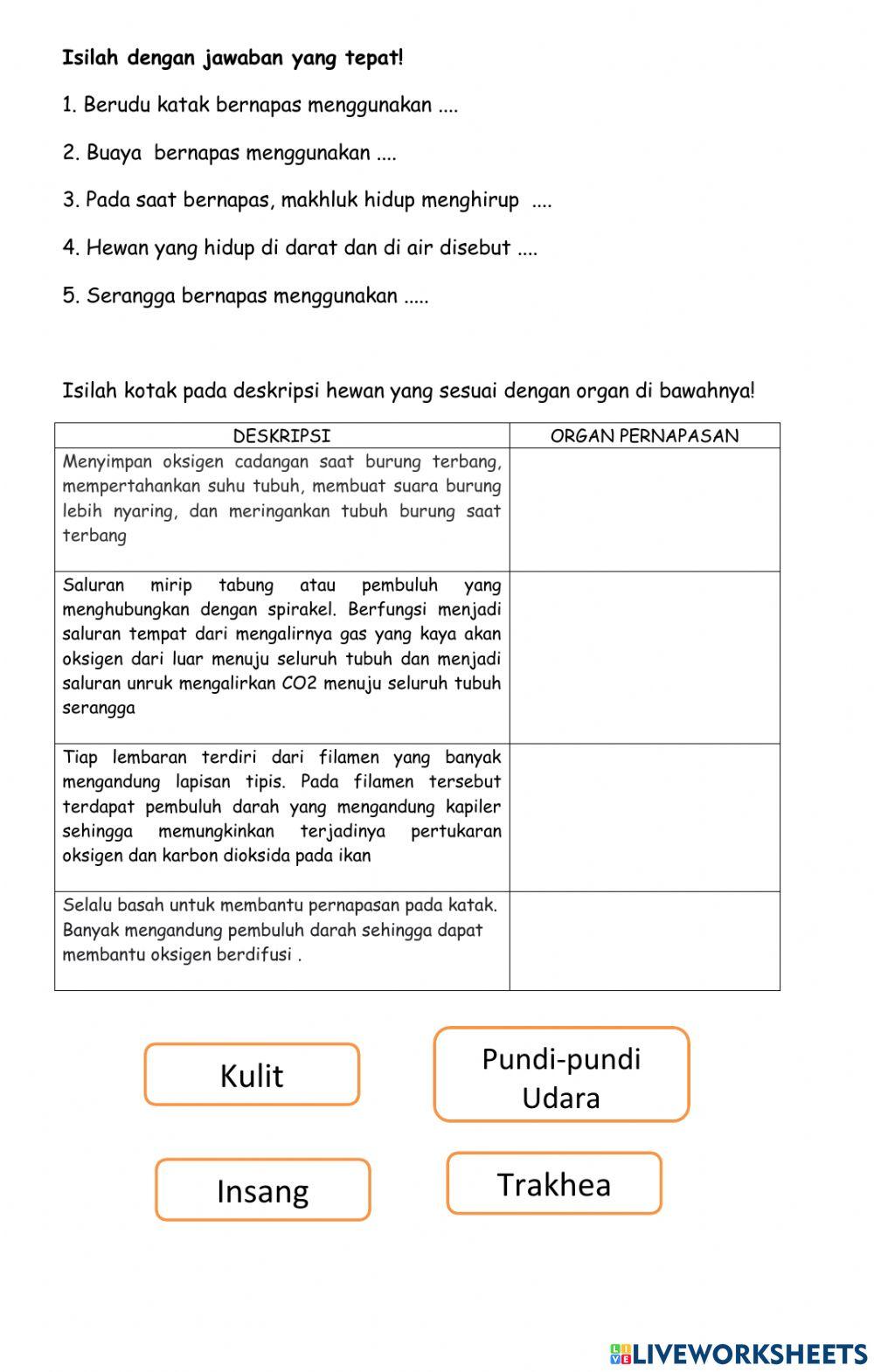 Organ Pernapasan Hewan