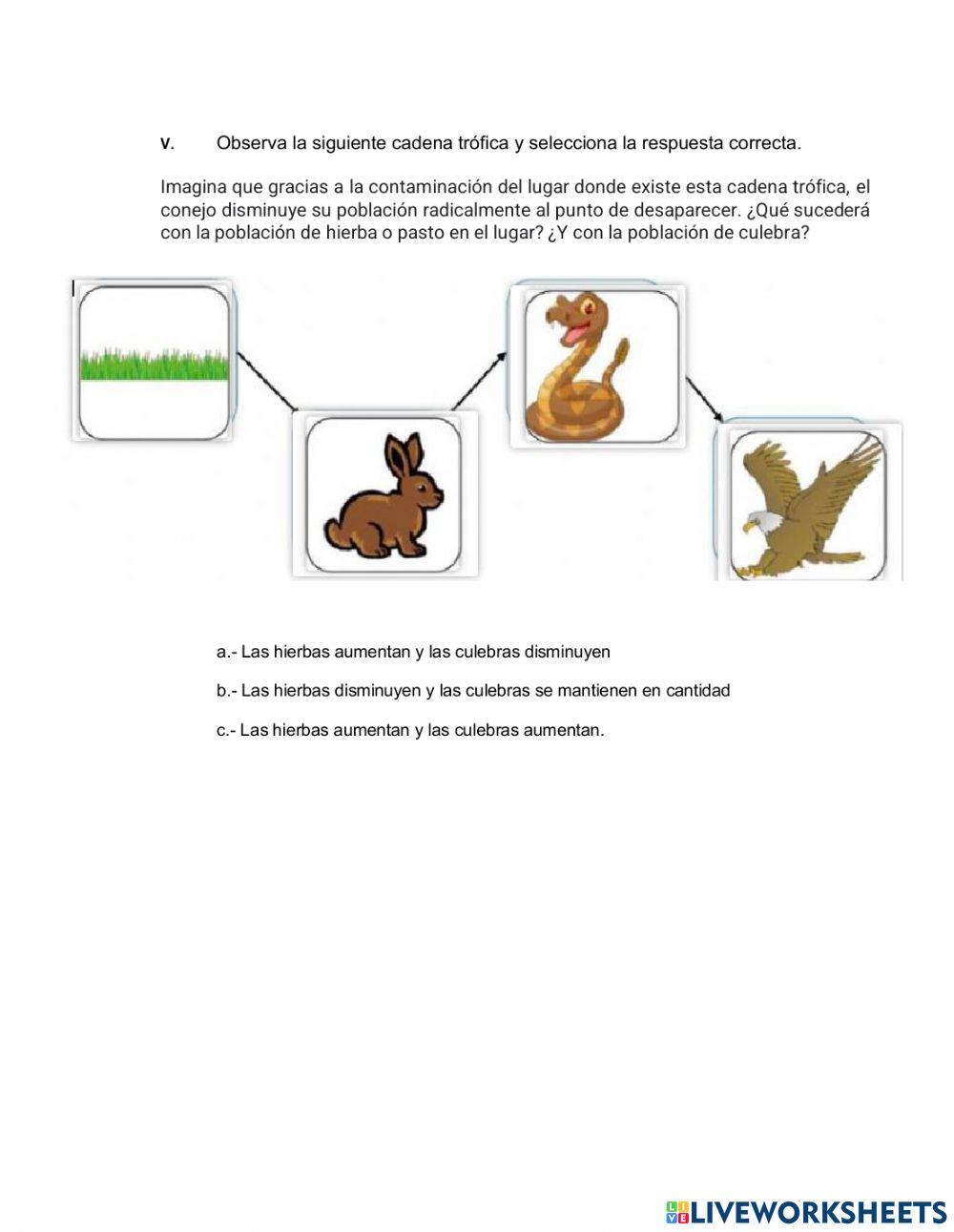 GUÍA MATERIA Y ENERGIA