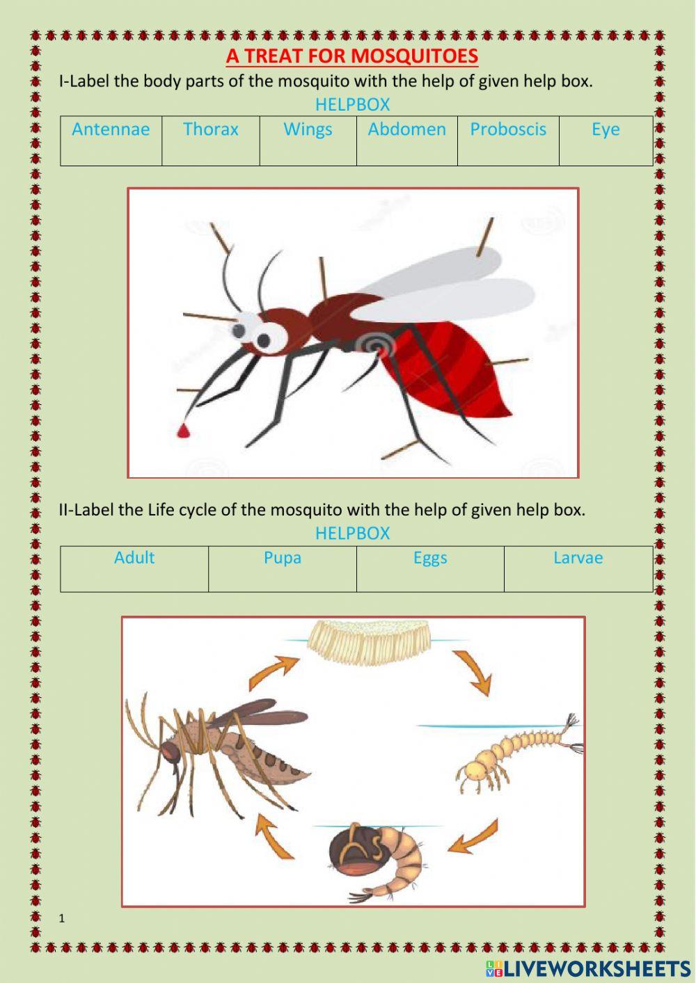 A treat for mosquitoes