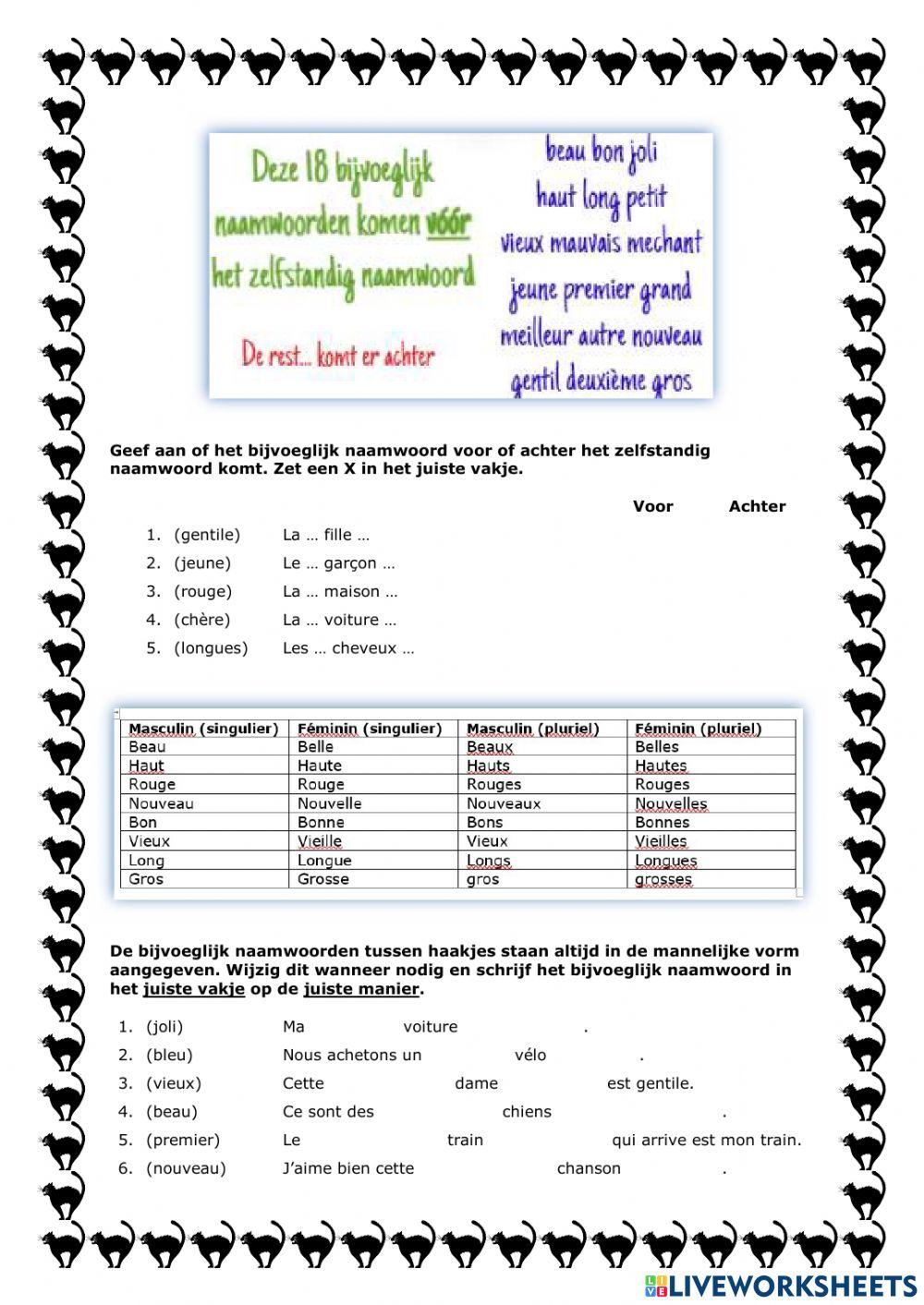Adjectifs qualificatifs