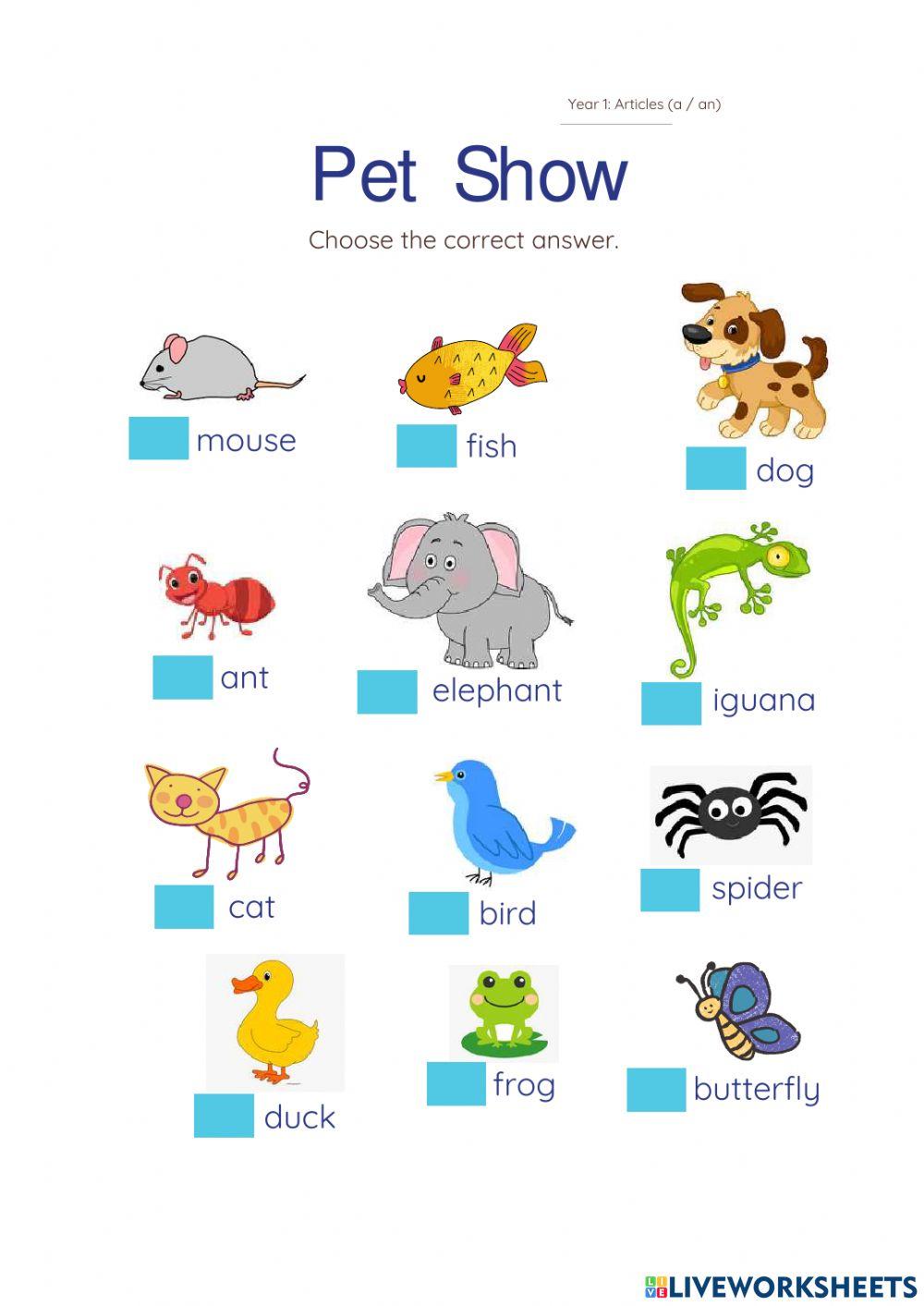 Year 1 Pet Show (Articles: a-an)