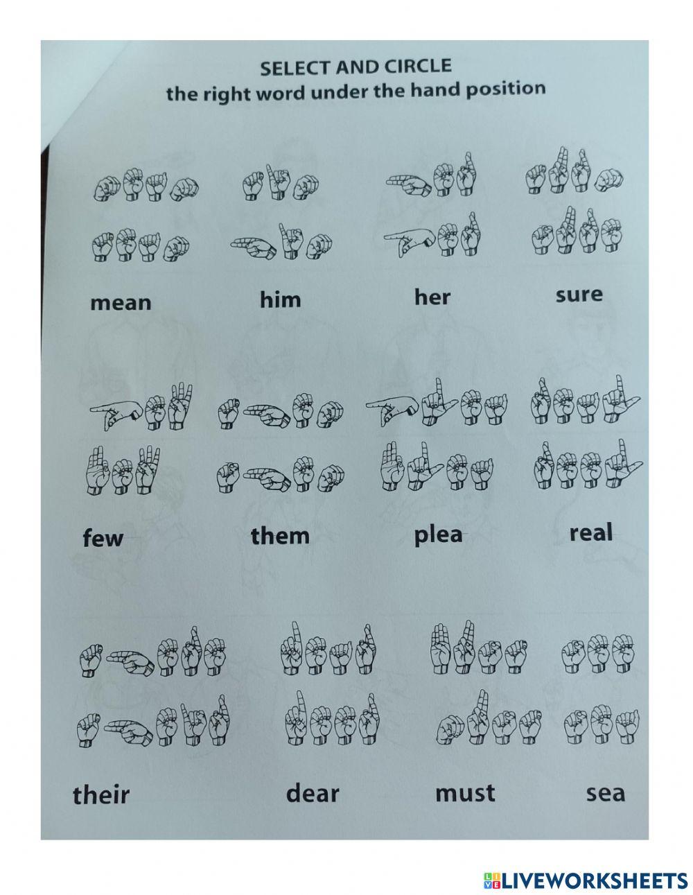 Beginner's Sign Language Course Test 1