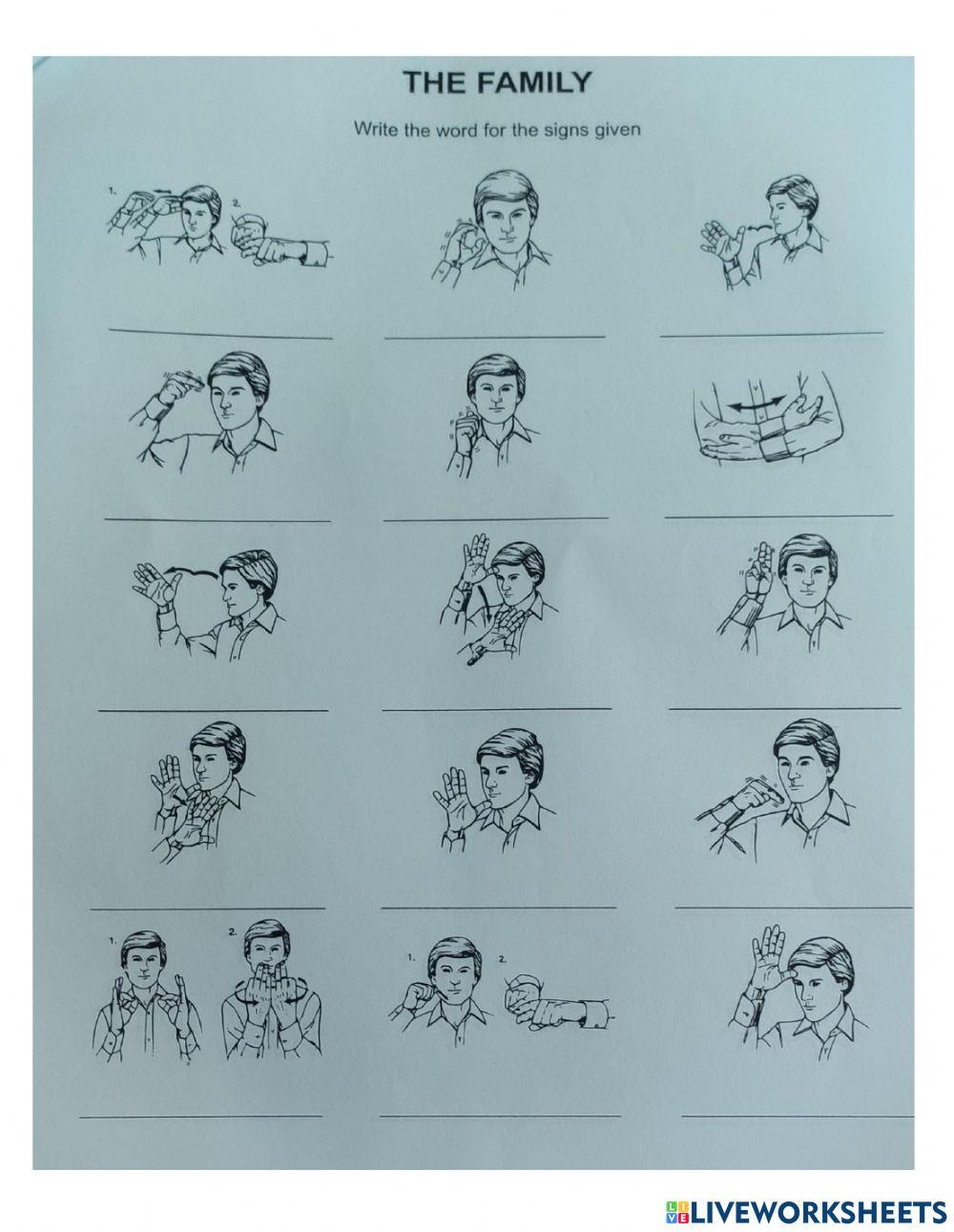 Beginner's Sign Language Course Test 1