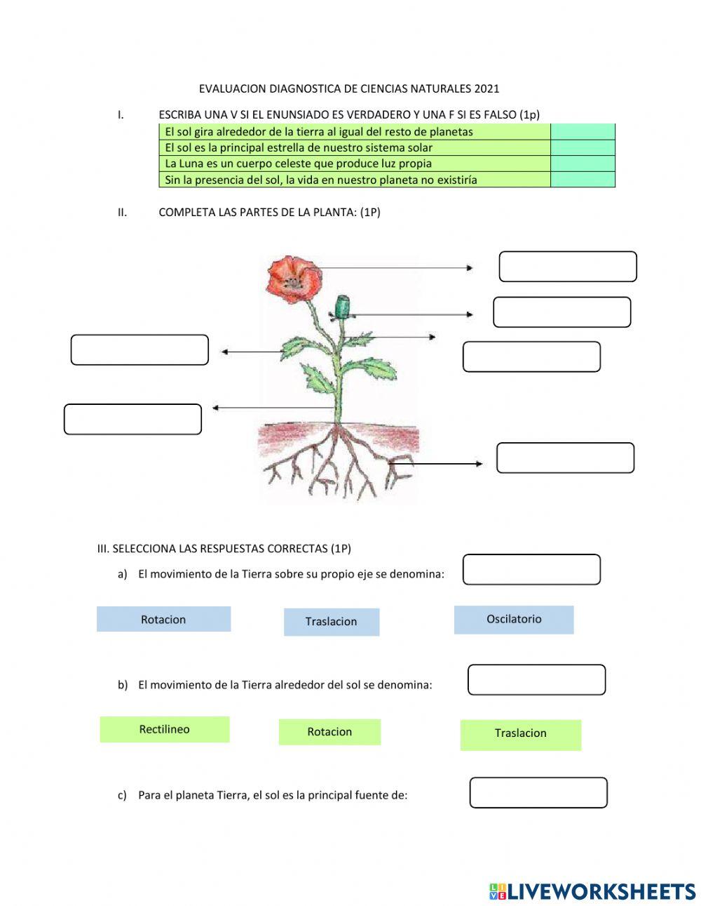 Evaluación Diagnóstica de Ciencias Naturales