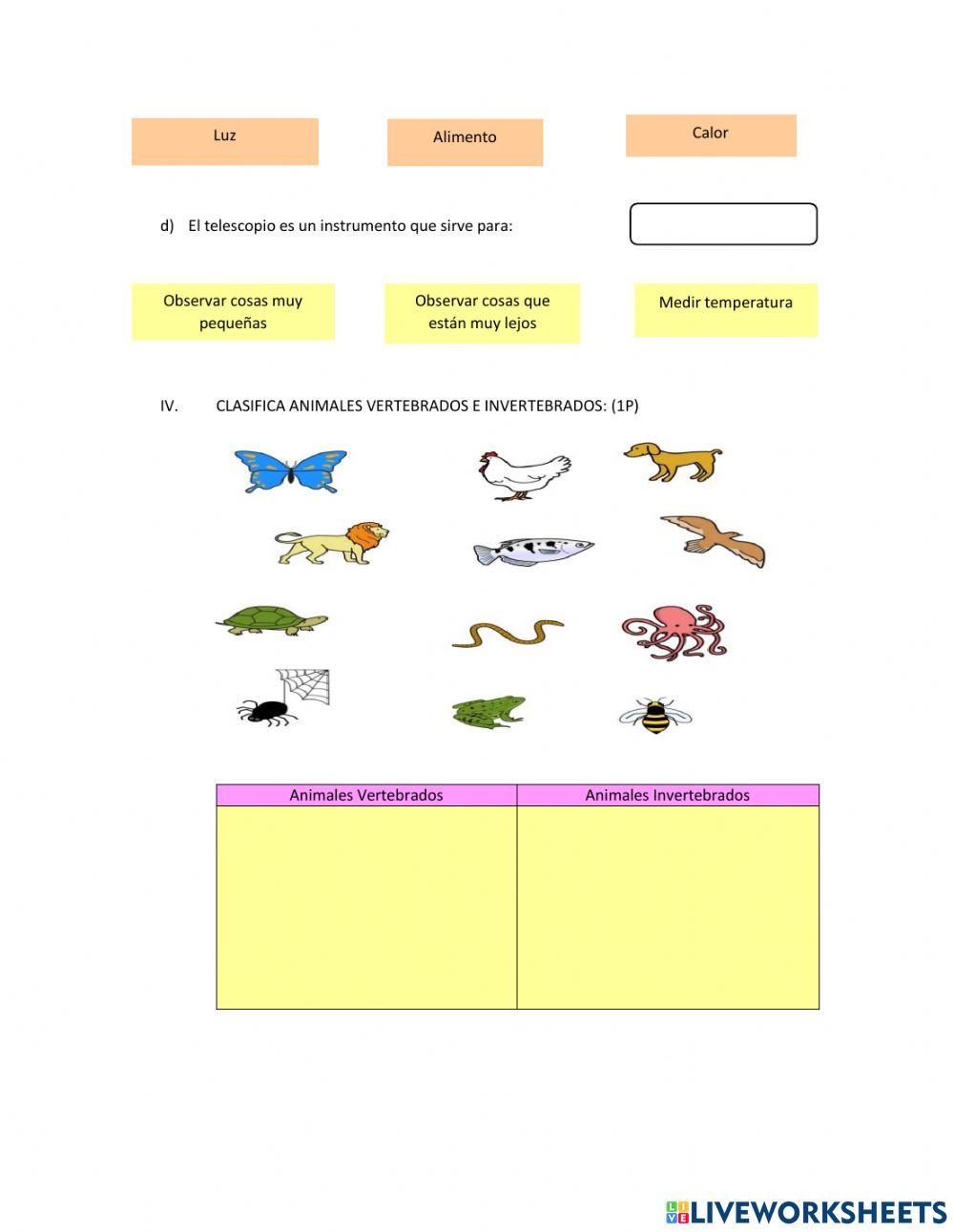 Evaluación Diagnóstica de Ciencias Naturales