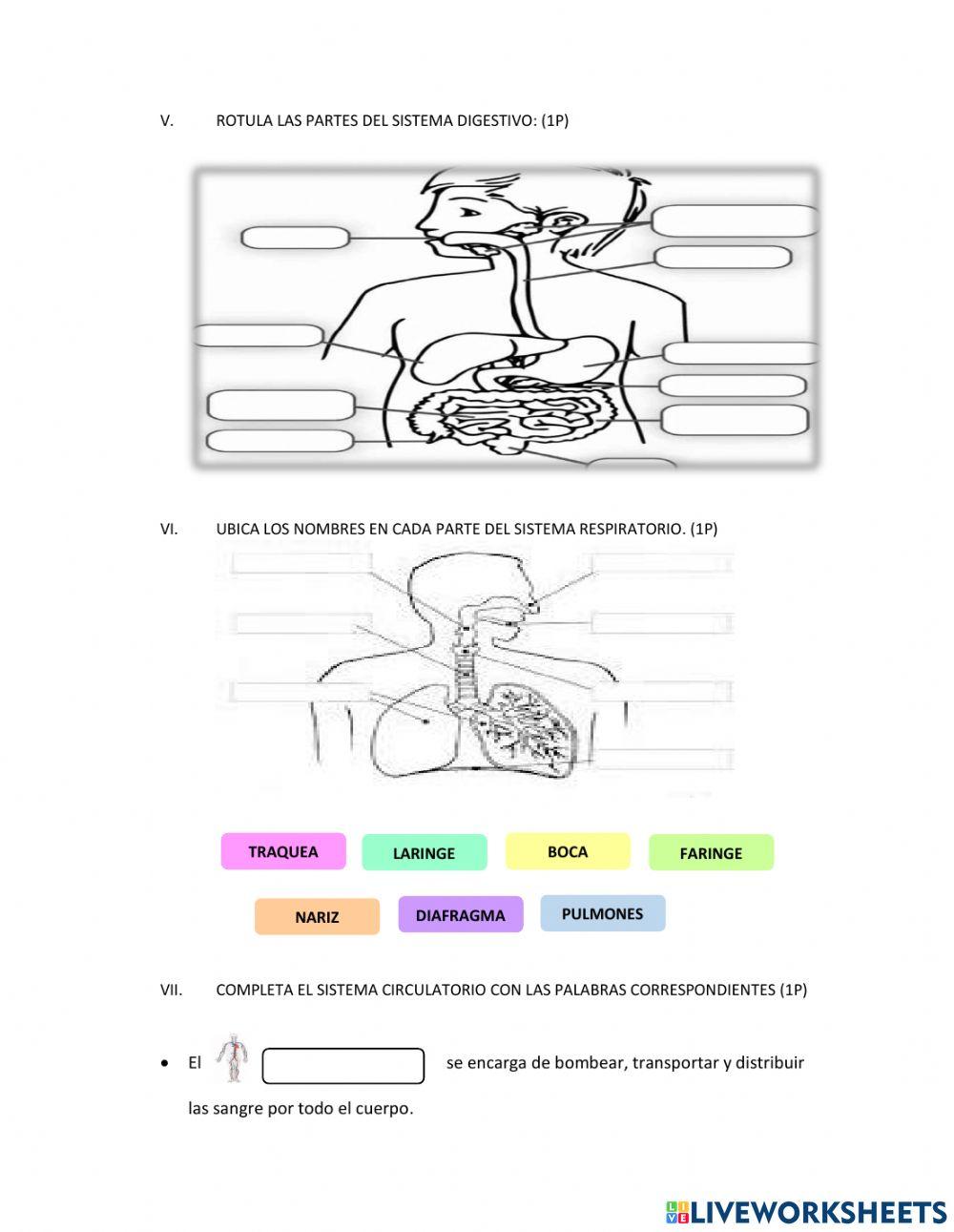 Evaluación Diagnóstica de Ciencias Naturales