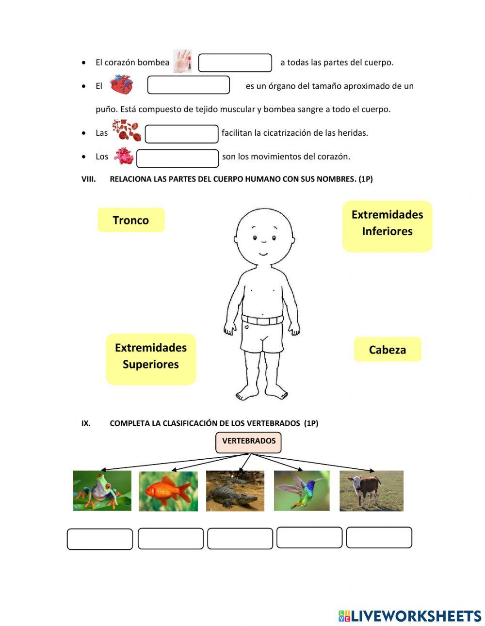 Evaluación Diagnóstica de Ciencias Naturales