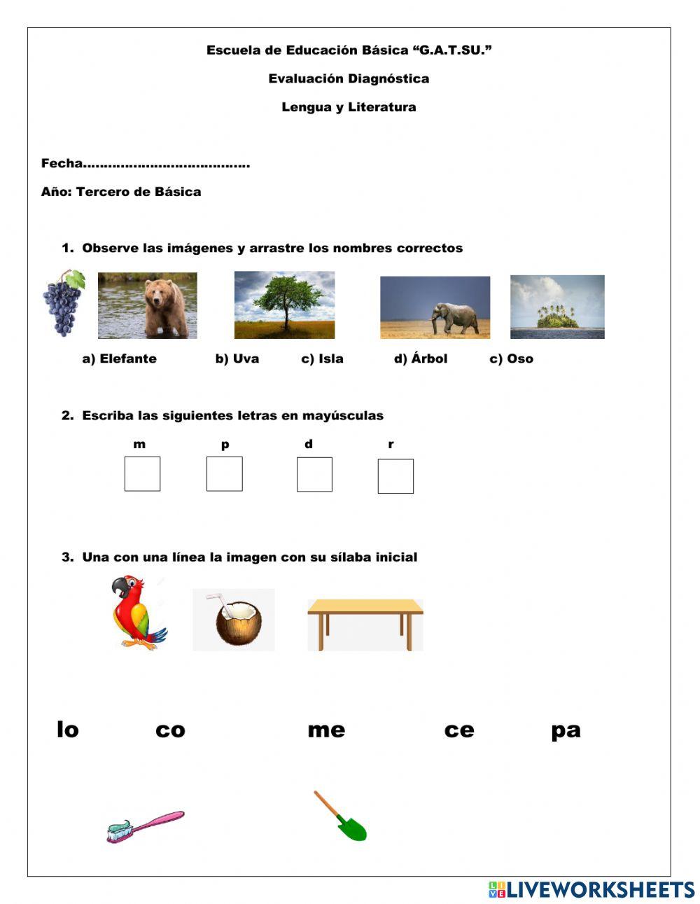 EVALUACIÓN DIAGNÓSTICA LENGUA