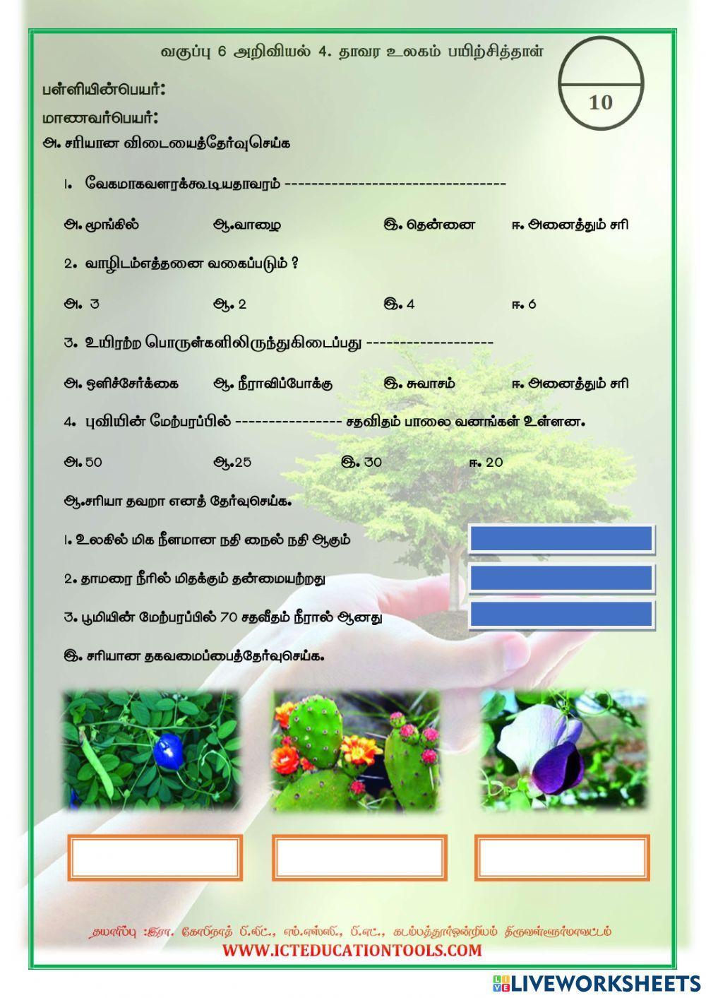 Std 6 science world of plants 2 Std 6 science world of plants 2
