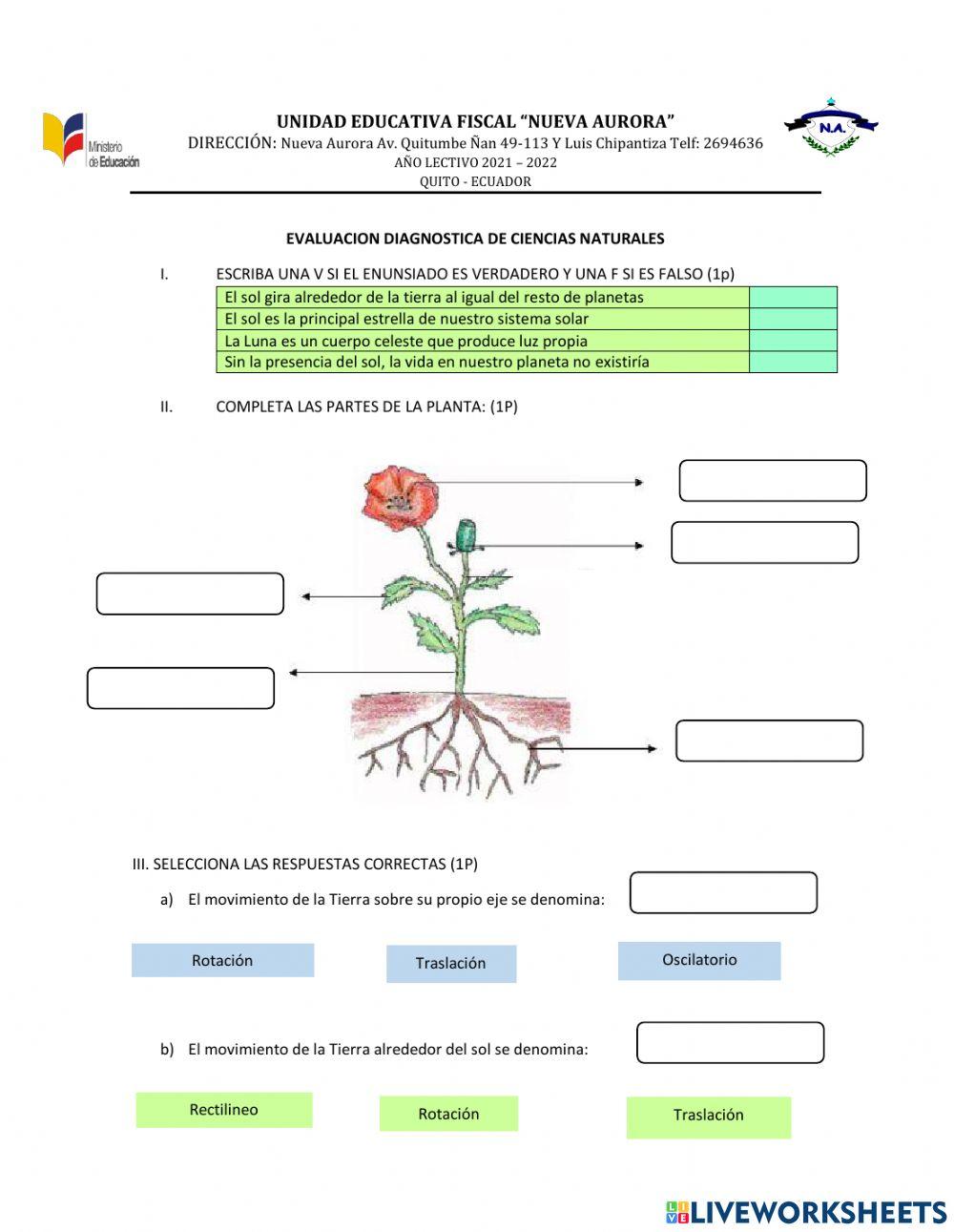 Evaluación Diagnóstica de Ciencias Naturales