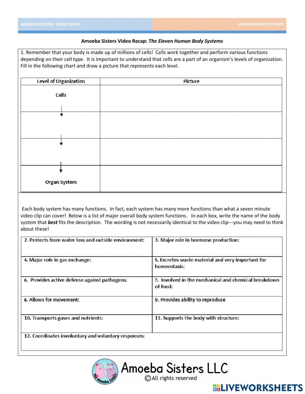 Amoeba sisters body systems review sheet online exercise for Live