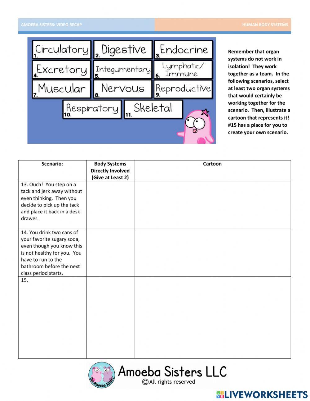 Amoeba sisters body systems review sheet online exercise for Live