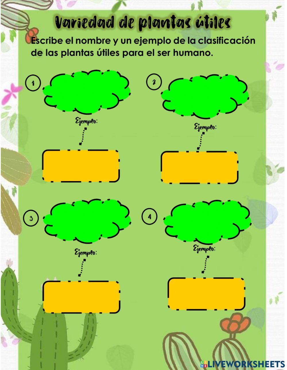Plantas útiles