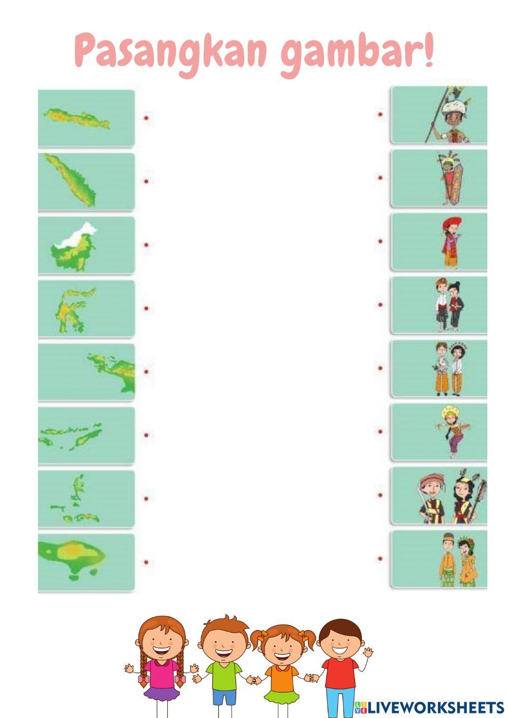 Suku bangsa di indonesia