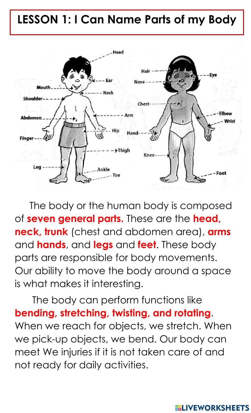 Parts of the body