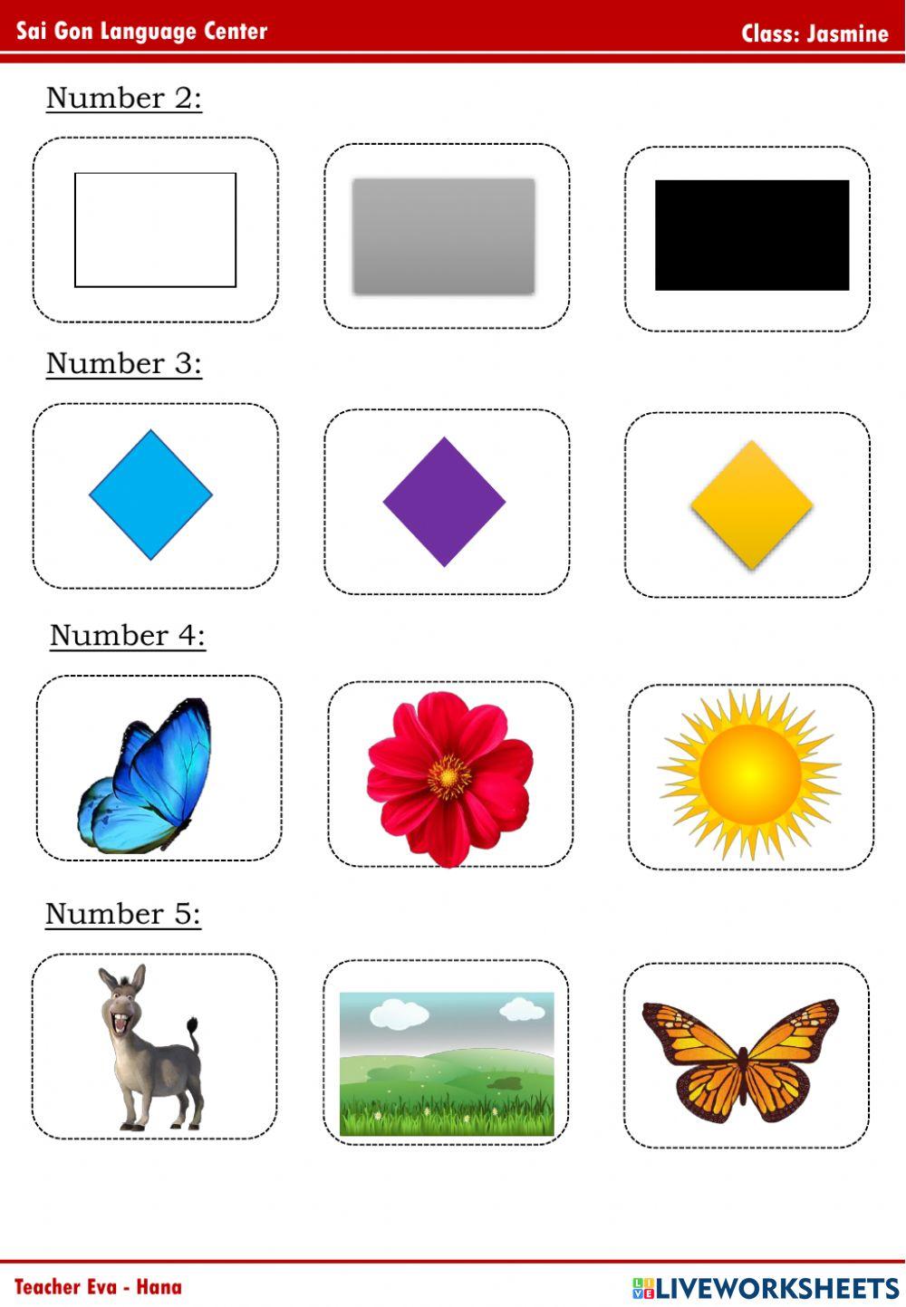 Jasmine Review Topic 4,5,6