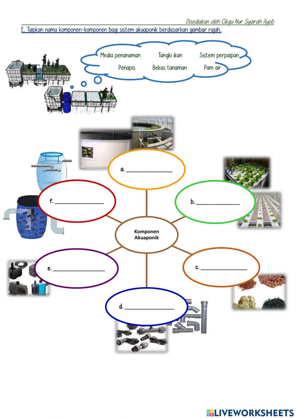 Reka Bentuk Akuaponik