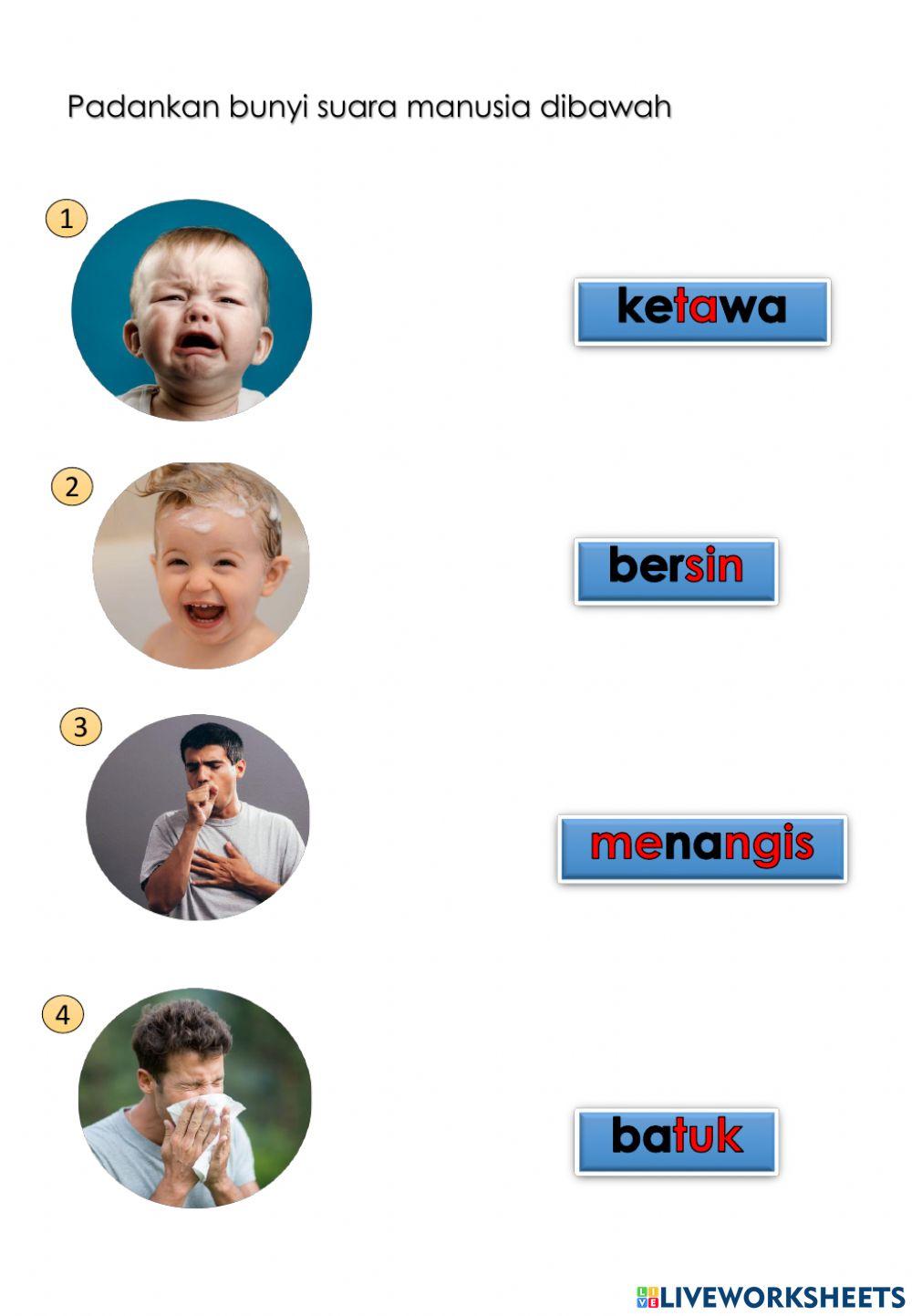 Kemahiran manipulatif