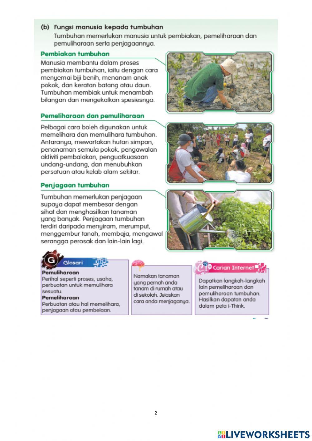 Tumbuhan dan kepentingannya