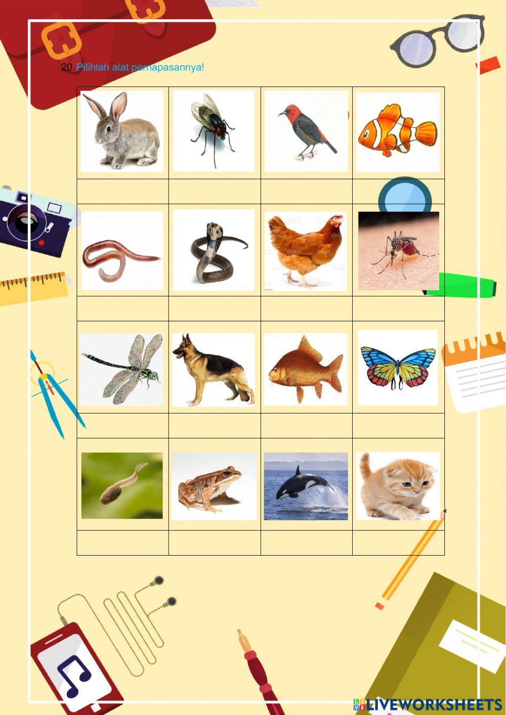 Tema 2 subtema 1 pembelajaran 1