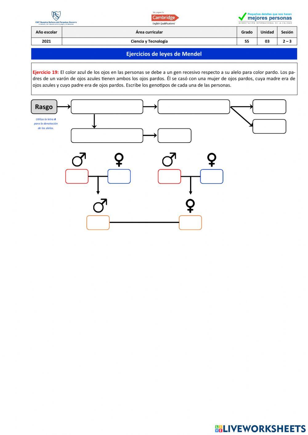 Ejercicio 19 - Leyes de Mendel