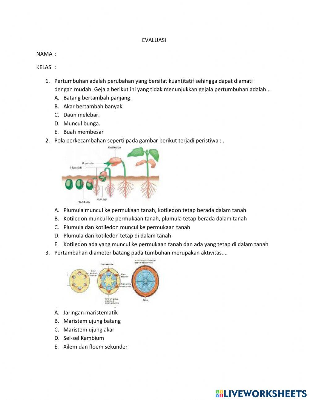 Soal Evaluasi BAB 1 Kelas XII IPA