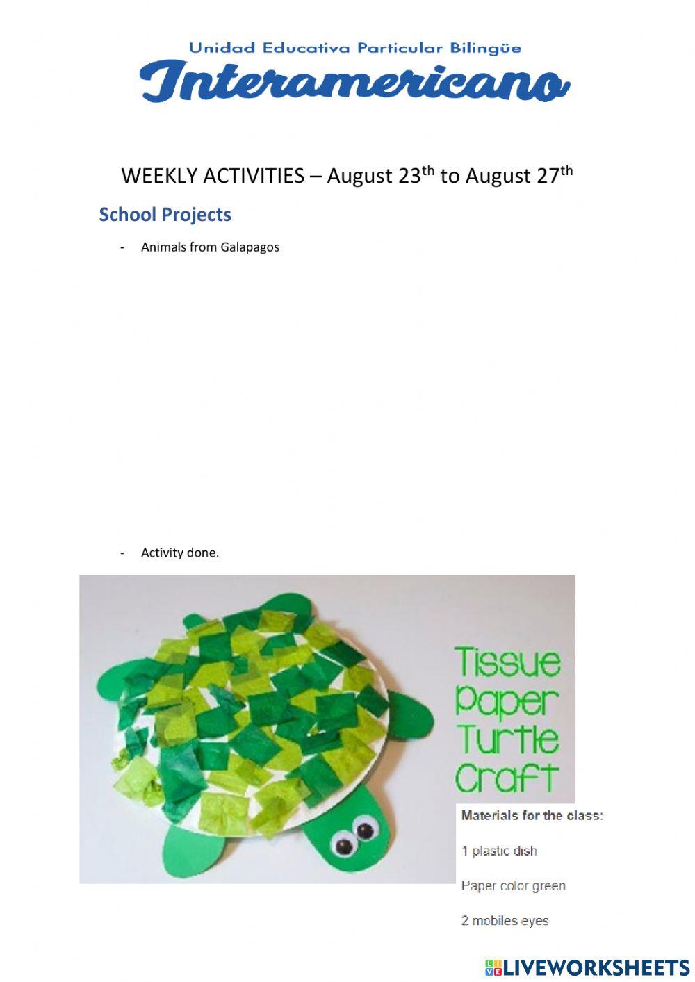 Weekly activities week 16