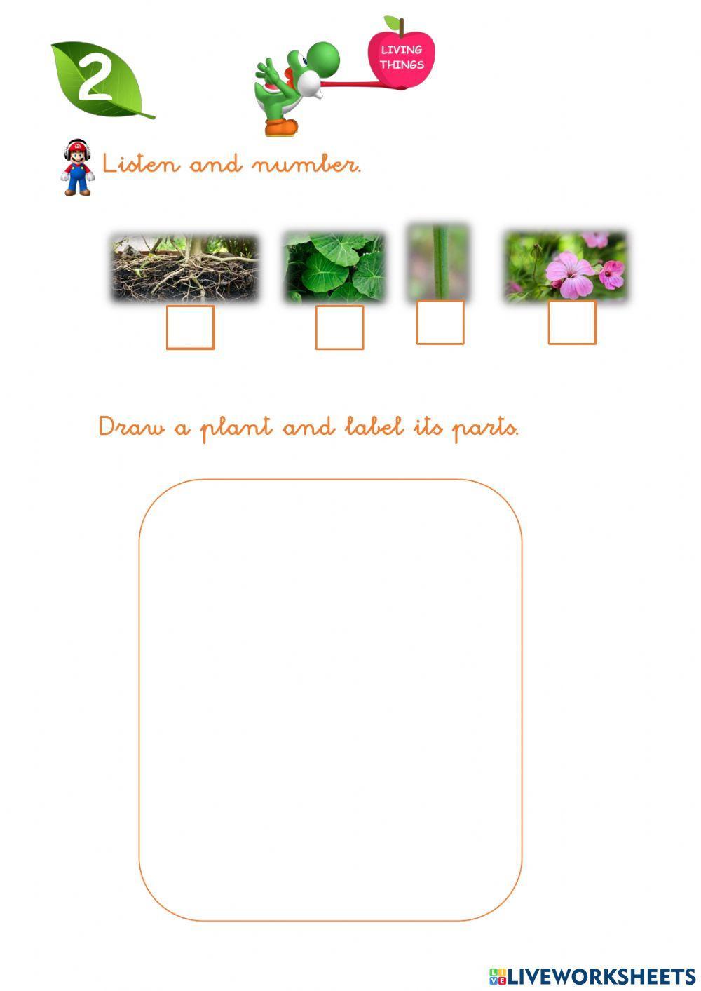 Needs of a plant Needs of a plant